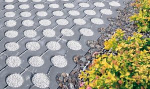 Polbruk_Greengo(3) Nawierzchnia zbudowana z eko ażurowych płyt wspomaga ekosystem